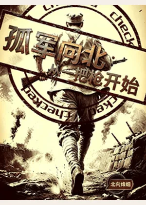孤军向北：从一把枪开始小说封面