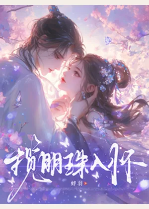 揽明珠入怀小说封面