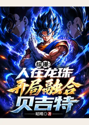 综漫：人在龙珠，开局融合贝吉特小说封面