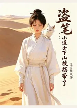 盗笔：小道士下山被拐带了小说封面