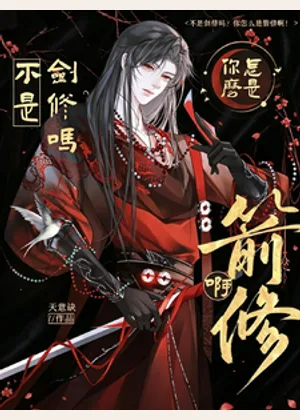 不是剑修吗？你怎么是箭修啊！小说封面