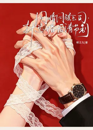 闪婚闷骚上司，封总婚后请节制小说封面