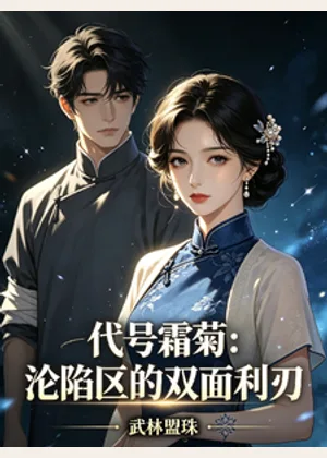 代号霜菊：沦陷区的双面利刃小说封面