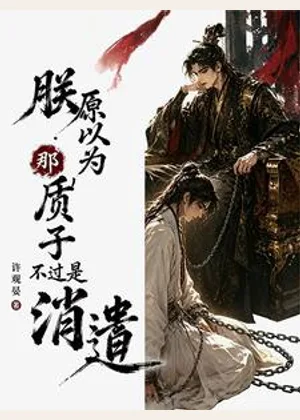 哼！朕原以为，那质子不过是消遣小说封面