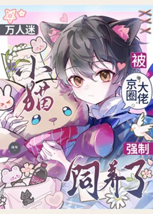 万人迷小猫被京圈大佬强制饲养了小说封面