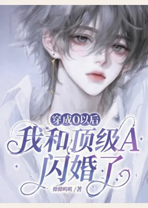 穿成O以后我和顶级A闪婚了小说封面