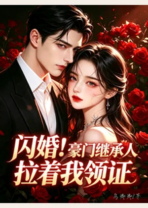 闪婚！豪门继承人拉着我领证小说封面