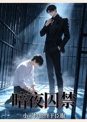 暗夜囚禁，小可怜他终于臣服小说封面