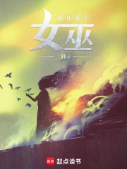 放开那个女巫小说封面