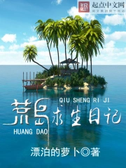 荒岛求生日记小说封面