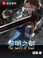 黎明之剑小说封面