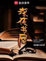 深夜书屋小说封面