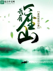我有一座山小说封面