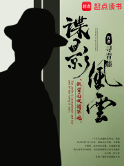 谍影风云小说封面