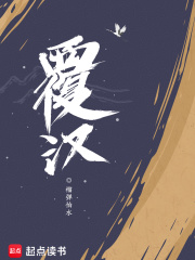覆汉小说封面