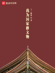我为国家修文物小说封面
