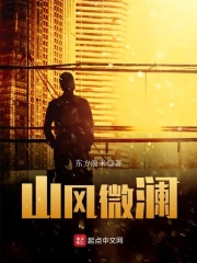 山风微澜小说封面