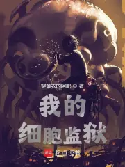 我的细胞监狱小说封面