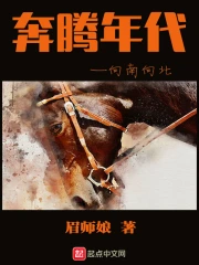 奔腾年代——向南向北小说封面