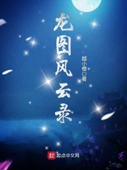 龙图风云录小说封面