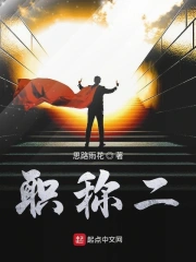 职称二小说封面