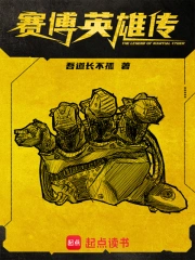 赛博英雄传小说封面