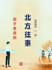 厨子老谭的北方往事小说封面