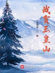 战贫玉皇山小说封面
