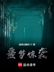 噩梦惊袭小说封面