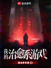 我的治愈系游戏小说封面