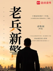 老兵新警小说封面