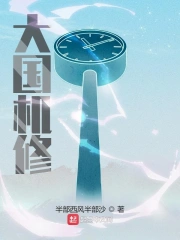 大国机修小说封面