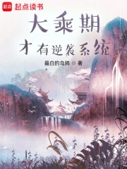 大乘期才有逆袭系统小说封面
