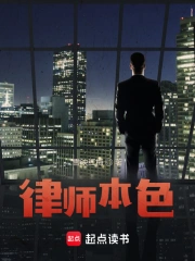 律师本色小说封面