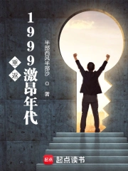 重返1999激昂年代小说封面