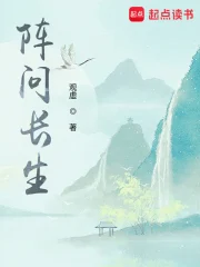阵问长生小说封面