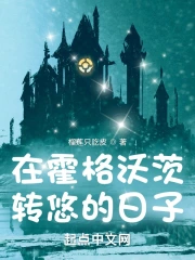 在霍格沃茨转悠的日子小说封面