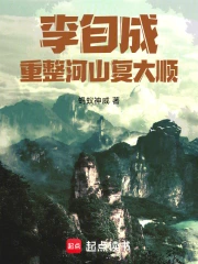 李自成:重整河山复大顺小说封面