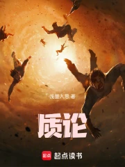 质论小说封面