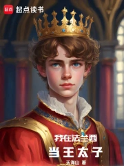 我在法兰西当王太子小说封面
