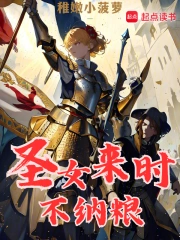 圣女来时不纳粮小说封面