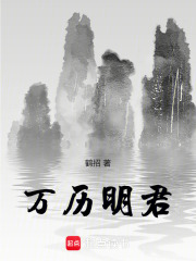 万历明君小说封面
