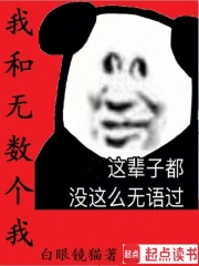 我和无数个我小说封面
