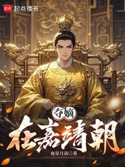 夺嫡在嘉靖朝小说封面