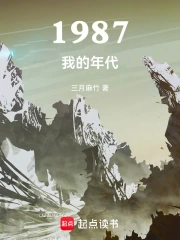 1987我的年代小说封面