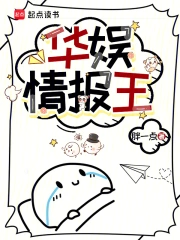 华娱情报王小说封面