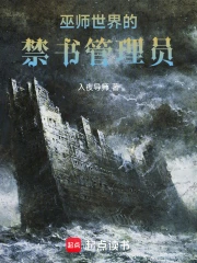 巫师世界的禁书管理员小说封面