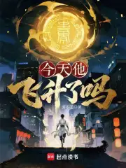 今天他飞升了吗小说封面