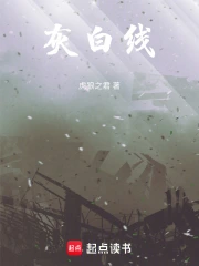 灰白线小说封面