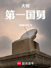 大明第一国舅小说封面